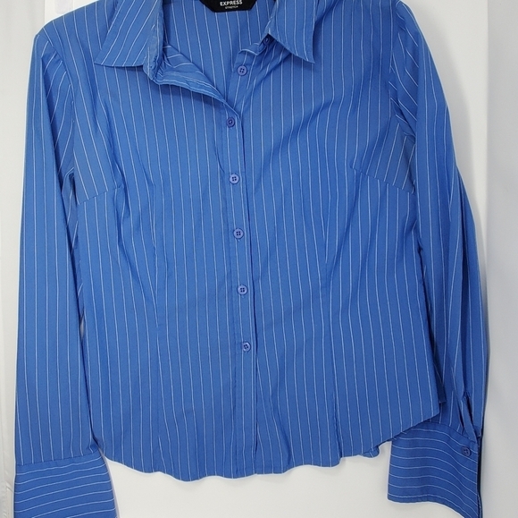 EXPRESS Blue and White PINSTRIPE BUTTON DOWN BLOUSE Women Size 9/10 - Picture 3 of 16